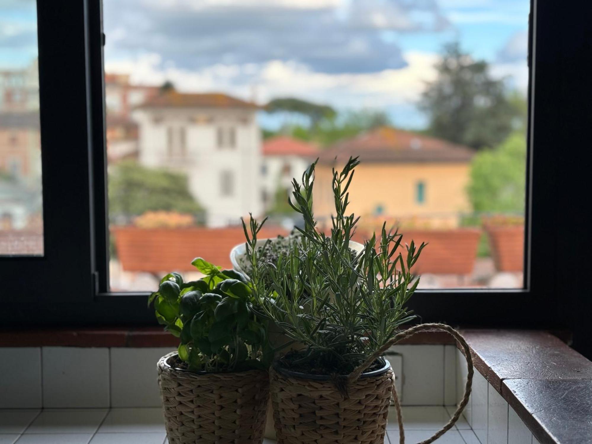 Lovely Apartment Lucca Eksteriør bilde